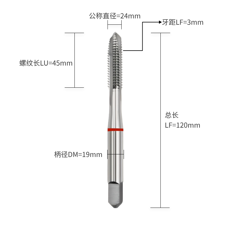 P结构类型-M螺纹类型24.0公称直径*3.00牙距  P-M24.0*3.00 先端丝锥（刃倾角丝锥或螺尖丝锥）